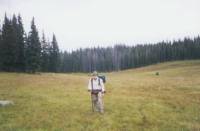 Medicine Bow Forest